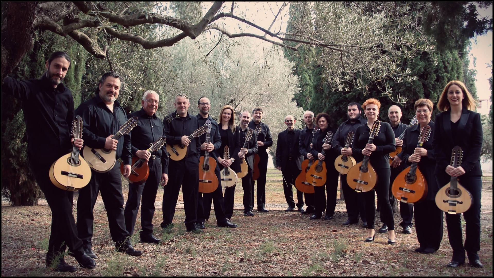 La orquesta al completo bajo los olivos